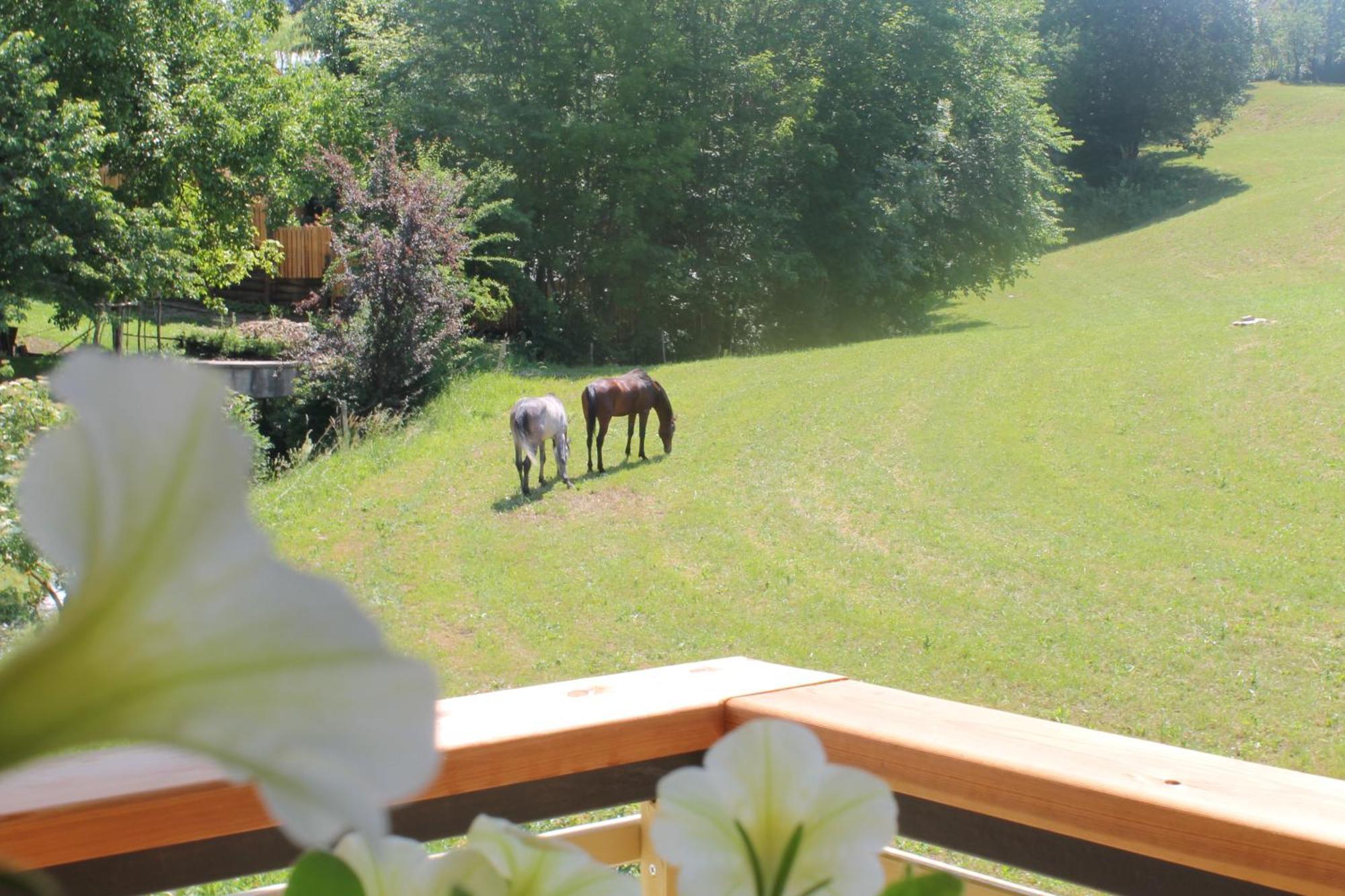 House Gabrijel With Four Seasons Outdoor Kitchen Villa Блед Екстериор снимка